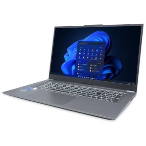 TERRA MOBILE 1717R i5-1334U W11P FR